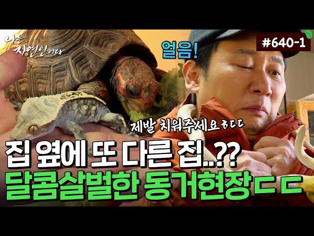 집 옆에 또 다른 집..?? 자연인과 동거하는 그들의 정체..｜자연인 다시보기 640-1