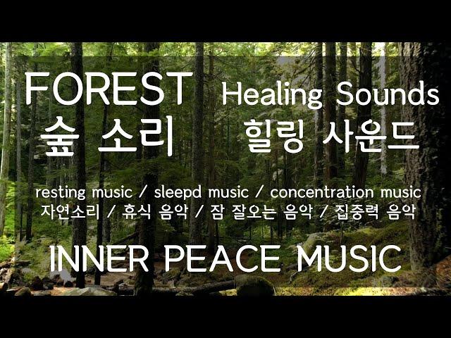 이너피스뮤직 #01_힐링 사운드:숲 [바람 / 새 / 자연소리 ] INNER PEACE MUSIC_ Healing Sounds_Forest [Wind/Bird/Nature]