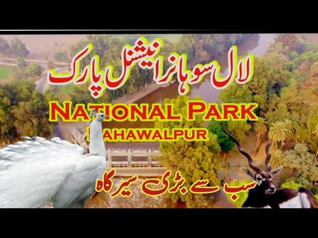 Lal Suhanra National Park | National Park South Punjab | Bahawal pur.