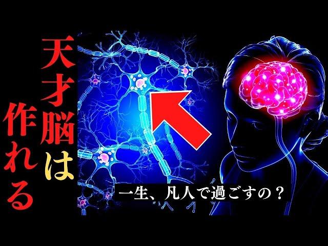 【内緒】天才の脳では〇〇が機能している！ギフテッドに生まれ変わる方法