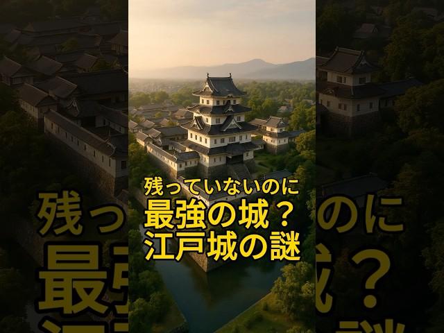 【東京・江戸城】残ってないのに最強の城！？ #江戸城 #皇居 #消えた天守  #徳川家康 #shorts #歴史ショート