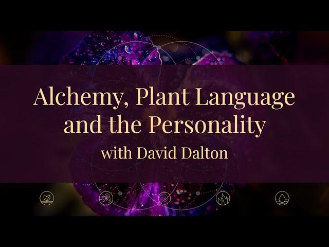 Alchemy, Plant Language and the Personality with David Dalton (excerpt)