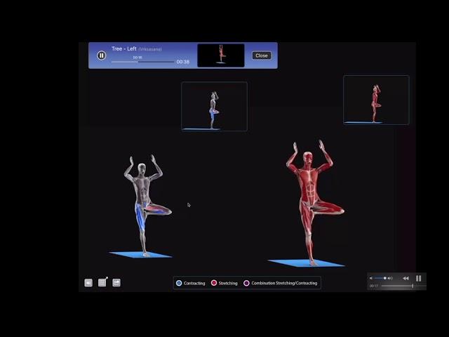 LAS POSTURAS DE EQUILIBRIO Y LOS HEMISFERIOS CEREBRALES