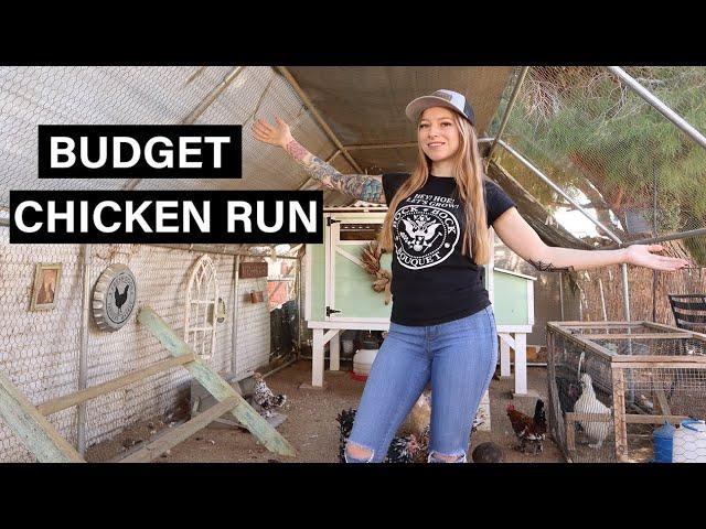 Affordable Chicken Run From Amazon 3 Years Later? Pros from Cons