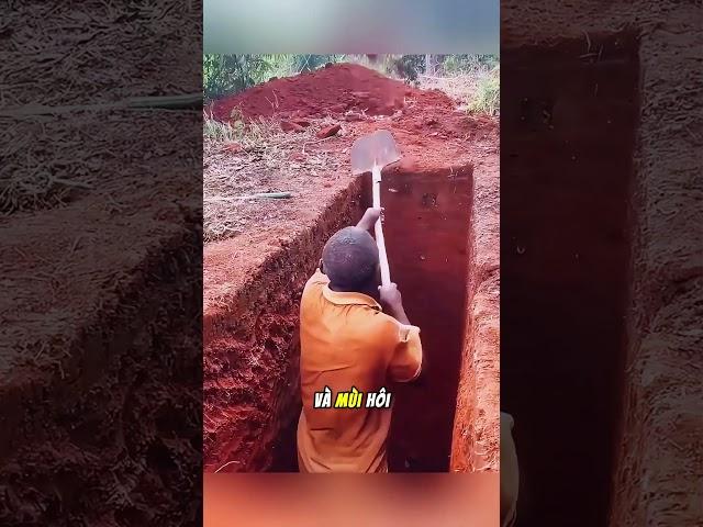 Tại sao người châu phi lại đào những chiếc hố sâu như vậy!#shorts