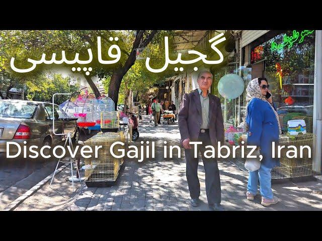 Exploring Gajil: Historic Neighborhood of Tabriz, East Azerbaijan Province, Iran