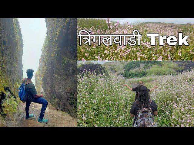 Tringalwadi Fort Maharashtra AnujManeVlogs first Trek after lockdown