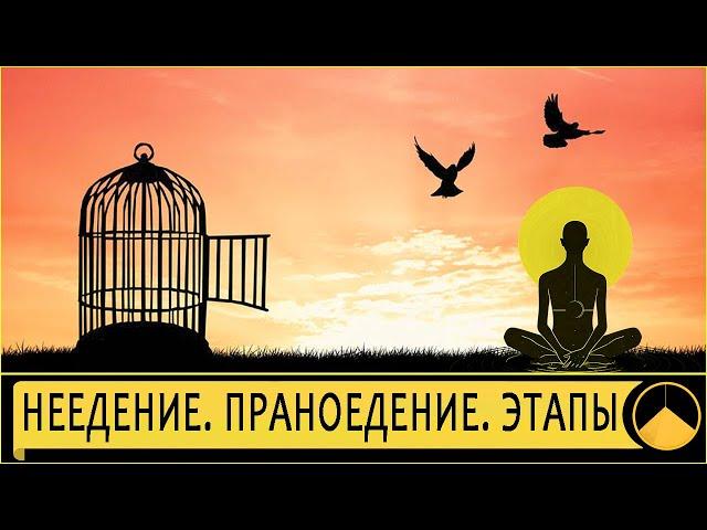 Гуру Ра - Неедение, Праноедение, Бретарианство. Разъяснение этапов