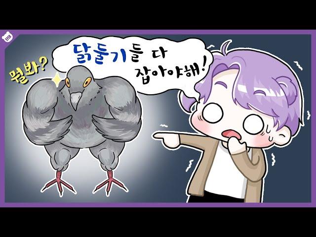 【김단대】 평화의 상징 비둘.. 닭둘기 ..!