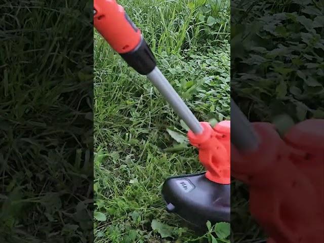 Black & Decker Grass String Trimmer Edger #blackanddecker #stringtrimmer #lawnedger  #diy #review