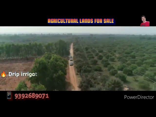 Genuine property||Lands for sale||Telangana real estate||lands in Nalgonda||