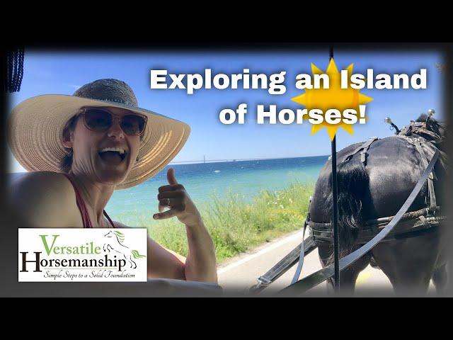 Exploring An Island Of Horses! Mackinac Island part 2 // Versatile Horsemanship