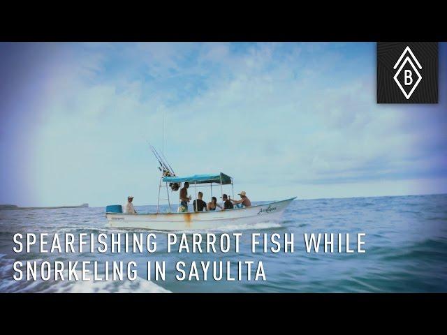 Spearfishing Parrot Fish While Snorkeling In Sayulita