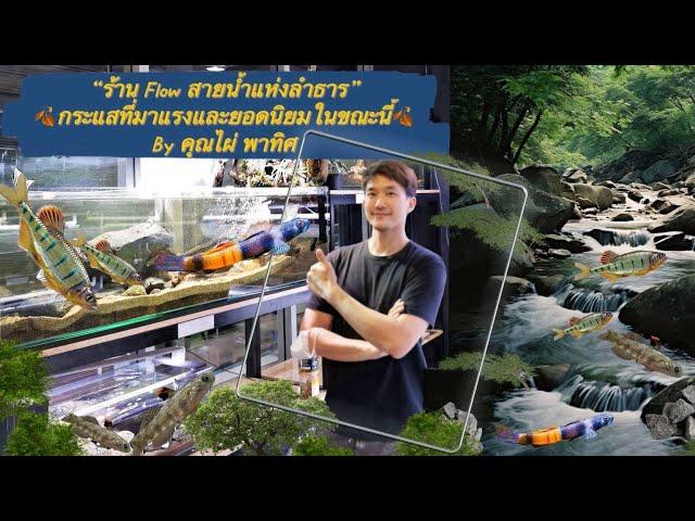 ร้าน Flow ตู้ลำธาร & ปลาลำธารน้ำตกEp.1