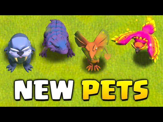 New Pets Explained - TH15 Update in Clash of Clans!