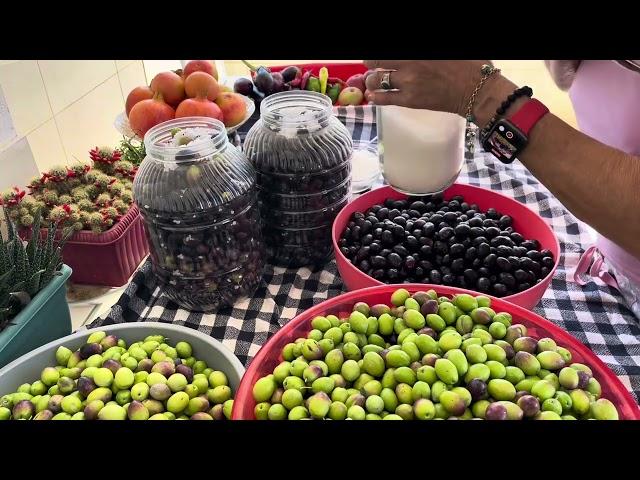 Siyah Zeytin Yapmanın en Kolay ve Muhteşem Yapımı ve Siyah Çizik Zeytin Tarifi