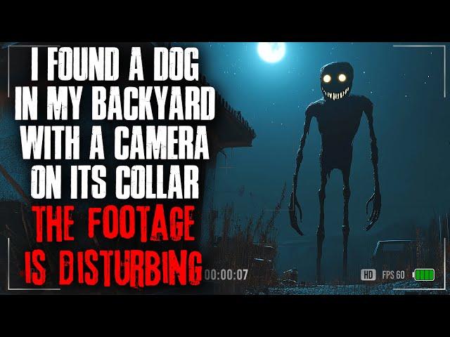 I found a Dog in my Backyard with a Camera on its Collar. The Footage is DISTURBING.