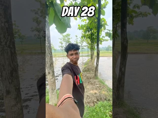 30 day challenge : day 28 #minivlog #youtubeshorts #vlog #shortvideo #challenge