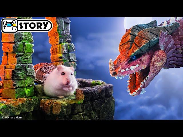 ️ Hamster vs Dragon in the Dungeons & Dragons Maze ️ Homura Ham Pets