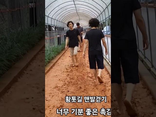 걸어서 구구 팔팔