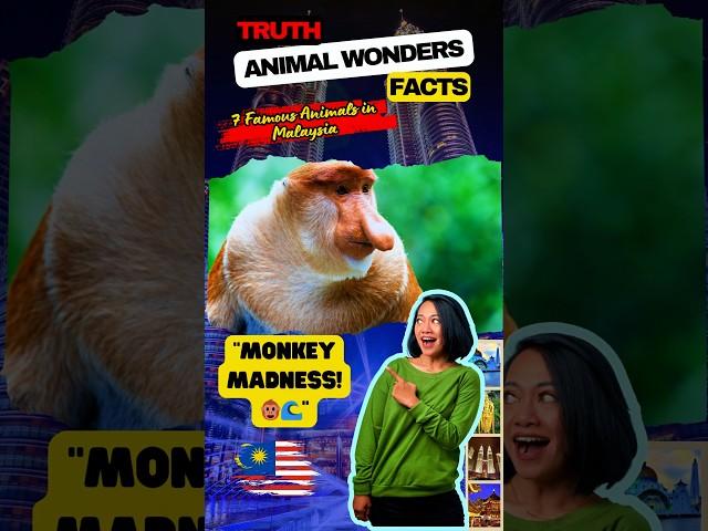 amazing proboscis monkey facts for every animal lover #animalwonders