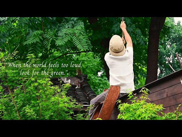 When the world feels too loud, look for the green.../a playlist for quiet hours/