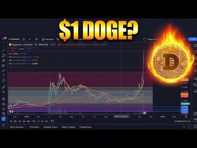 Doge To $1? The Surprising Truth About It's Next Targets! | Dogecoin News