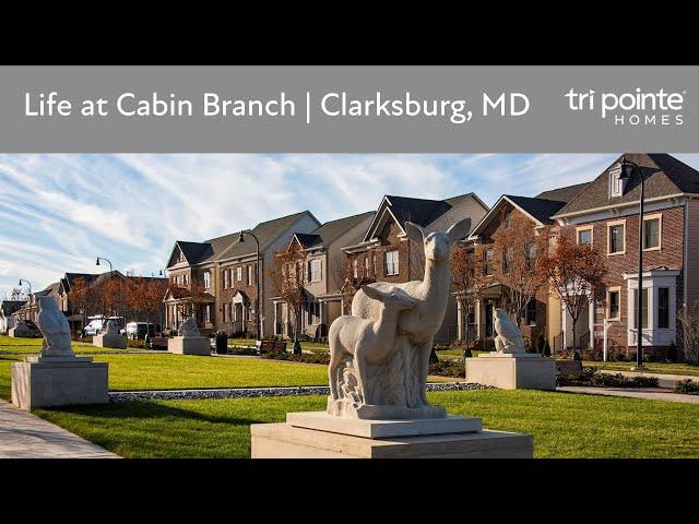 Life at Cabin Branch | New Homes in Clarksburg, MD by Tri Pointe Homes