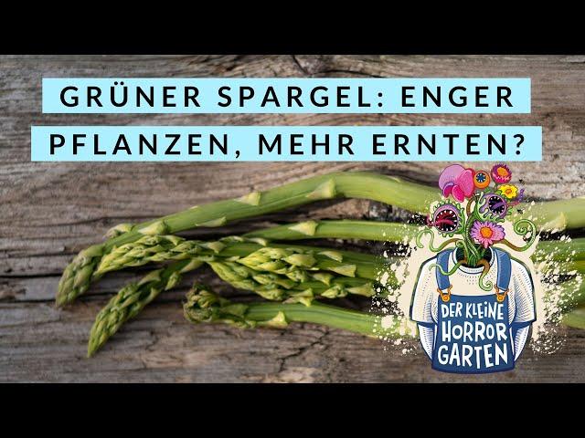 Spargel pflanzen im Rahmenbeet - enger pflanzen, mehr ernten!