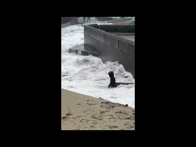 ️ Warning! 2024 Cannon Beach Oregon King Tides Are Back.