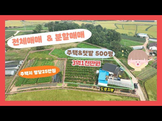 (704) 당진시 신평면 넓은 텃밭 있는 전원주택 / 전체 또는 분할 매매 가능해요.  가성비 좋은 500평과 주택 추천/ 대추나무농가소득  [전원주택][당진전원주택][당진부동산]