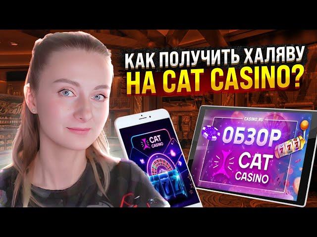  ЧЕСТНОЕ Мнение о КЭТ КАЗИНО - Стоит ли Играть, Где Искать ЗЕРКАЛО Cat Casino