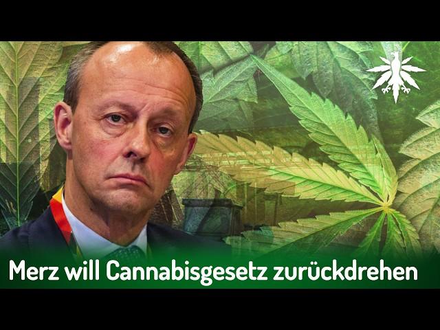 Merz will Cannabisgesetz zurückdrehen | DHV-News # 430