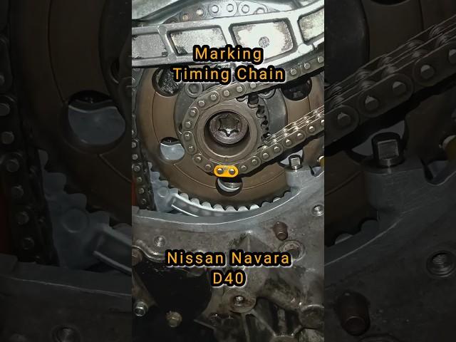 Timing chain marking nissan navara D40. #automobile #timingchain #car #engine #mechanic #shorts