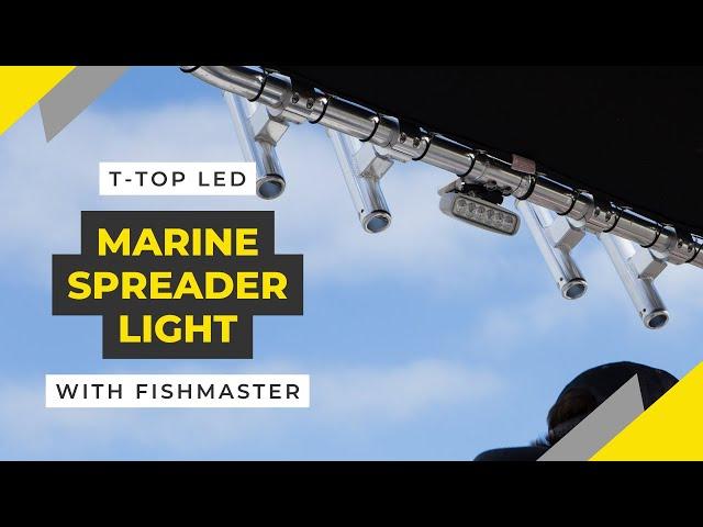 Fishmaster T-Top LED Marine Spreader Light