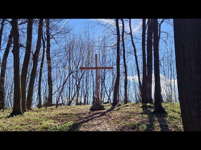 Te Deum - Ciebie Boga wysławiamy - PETRUS Ensemble z Wieliczki