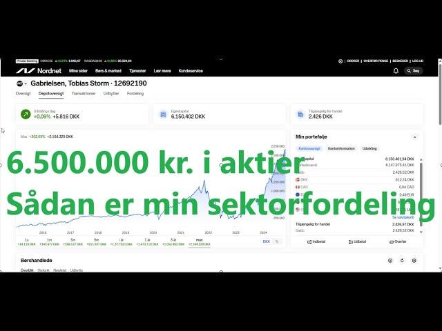 6.5 millioner kr. investeret i aktier - Sådan er min sektorfordeling