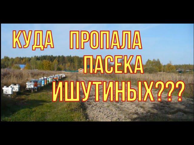 Куда пропала пасека Ишутиных? Новый точёк пчёл и медосбор 2022. Супер вес контрольного улья.