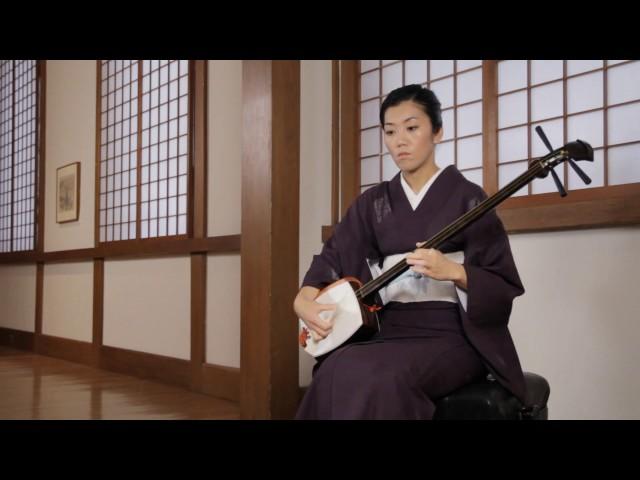 Lute (shamisen)