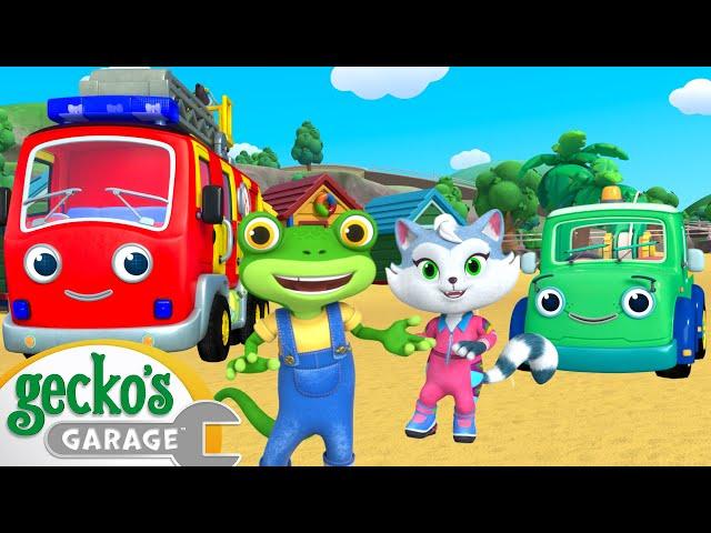 Gecko's Animal Pals' Beach Day | Gecko's Animal Pals | Animal & Vehicle Cartoons | Cartoons for Kids