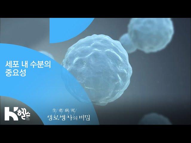 세포 내 수분의 중요성 - (20190320_687회 방송) 지긋지긋한 피로, 건강의 적신호