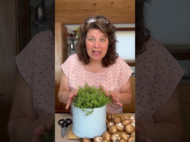 How to Cut and Use Thyme in your Cooking