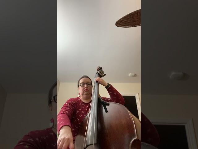 Double Bass Day 4 Deck the Halls #christmasmusic #christmascarol #doublebass #doublebassist #bass