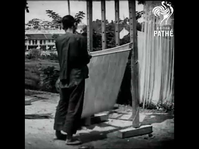 Noodle Master  #history  #vintage  #china  #food  #skills