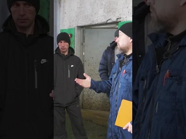 Провели ОЦЕНКУ ЛОКОМОЦИИ #ветеринар #сельскоехозяйство #корова #животные #cow #hooftrimming #ферма