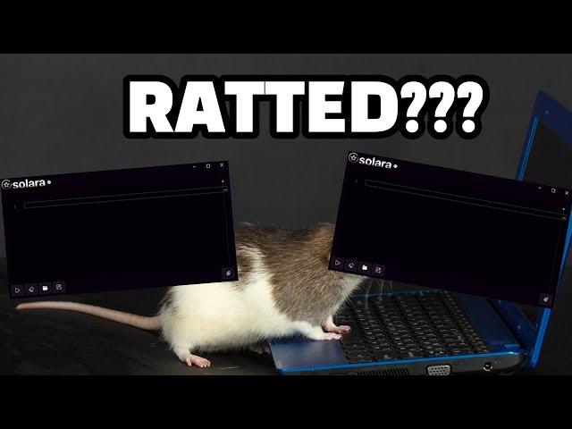 SOLARA IS A RAT??? | SOLARA EXTERNAL |