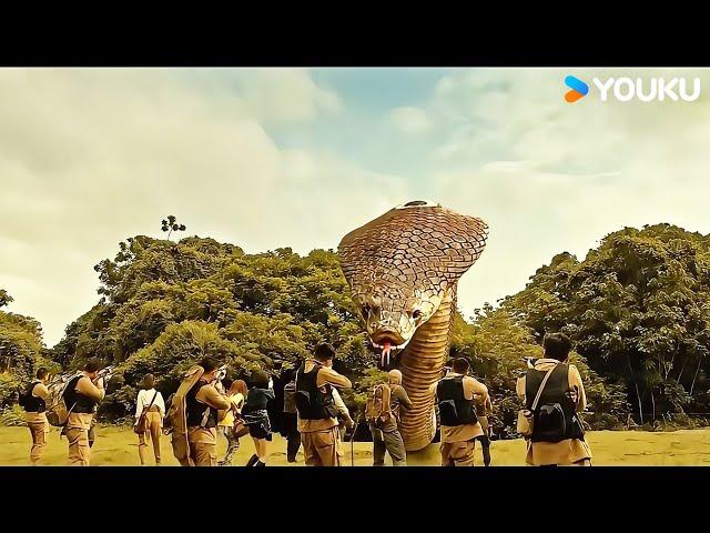 Appearance of the King Cobra scared everyone couldn't speak | Jurassic Revival | YOUKU MONSTER MOVIE