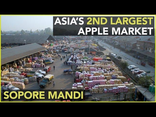 Sopore Mandi - Asia's 2nd Largest Apple Market