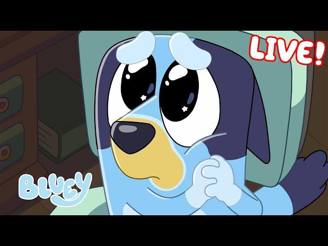 LIVE: Best of Bluey Series 1! | FULL EPISODES | Bluey