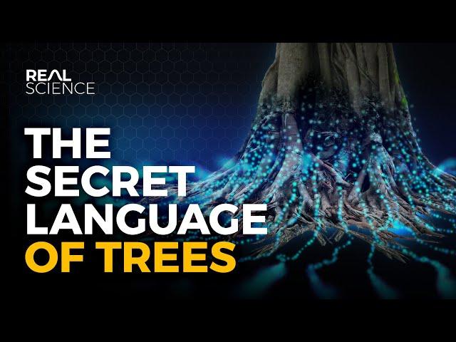 The Secret Language of Trees